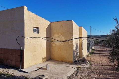 Landejendom i Yecla, Murcia, Yecla - € 155.000 | Ref: SF0370 - foto 3
